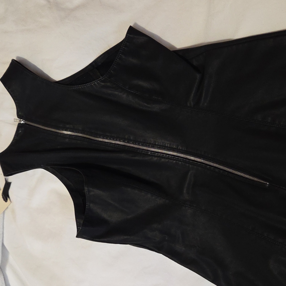 Bb Dakota Faux Leather Dress
